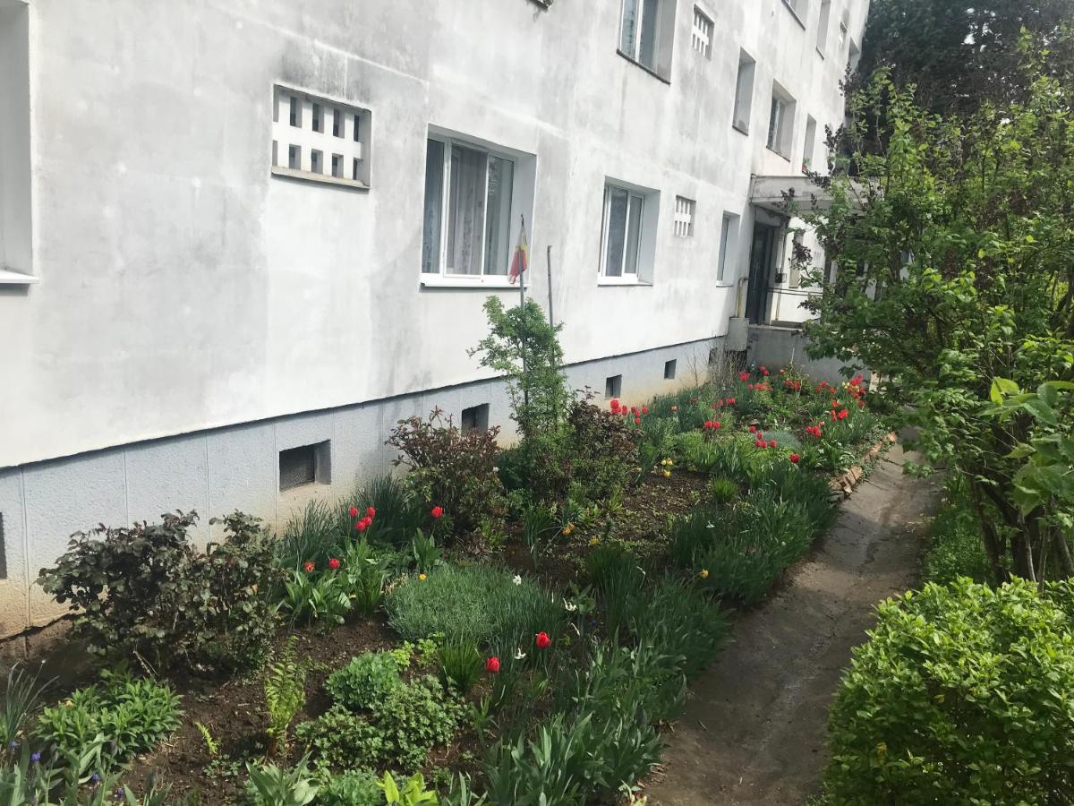 Apartament Colina Cluj-Napoca Eksteriør bilde